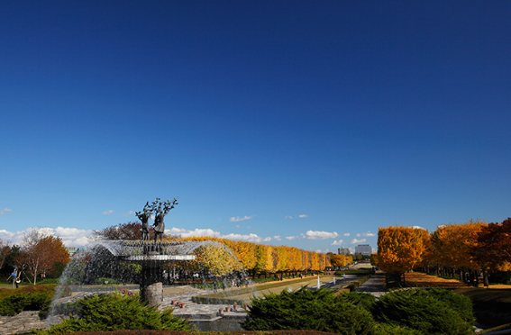 国営昭和記念公園