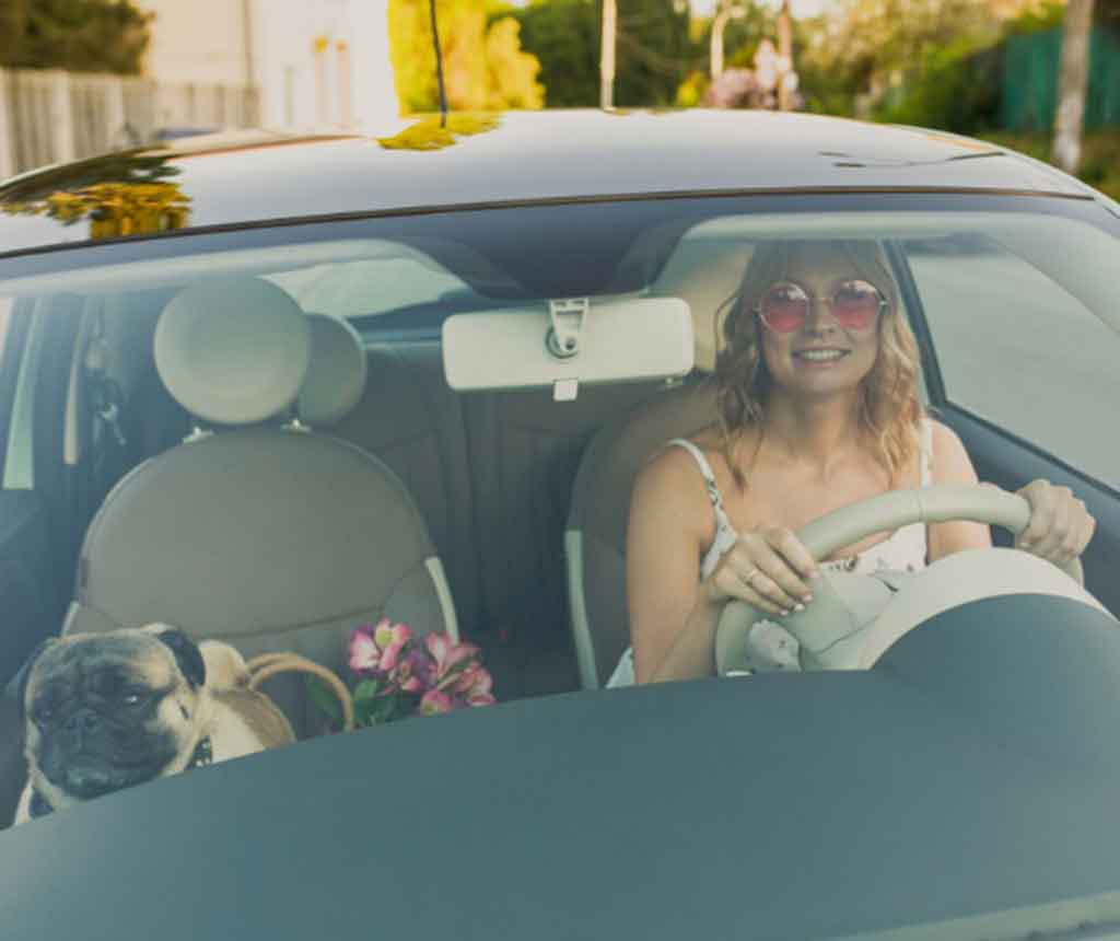 パグと一緒に運転する女性