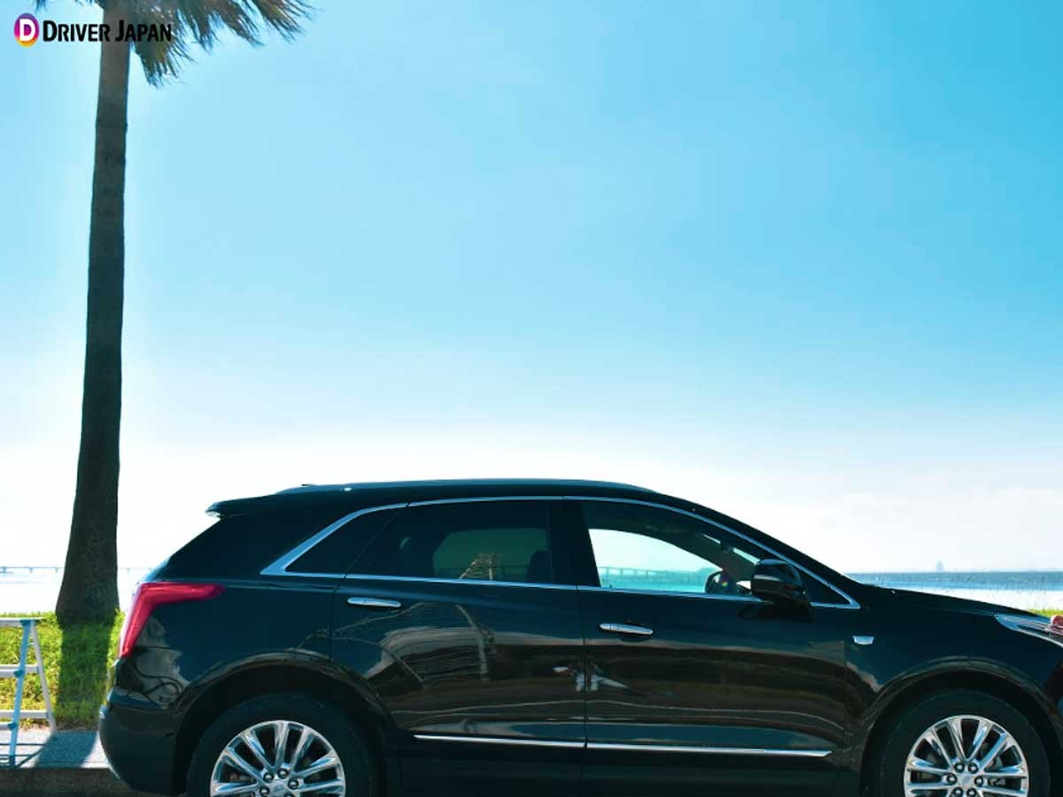 千葉フォルニア（アイキャッチ）