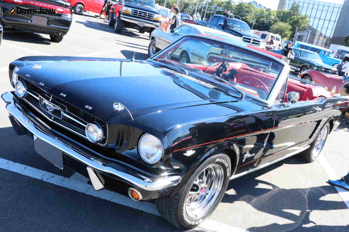 スーパーアメリカンフェスティバル2019の展示車両